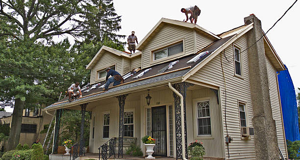 Best Roof Gutter Cleaning  in Copperton, UT